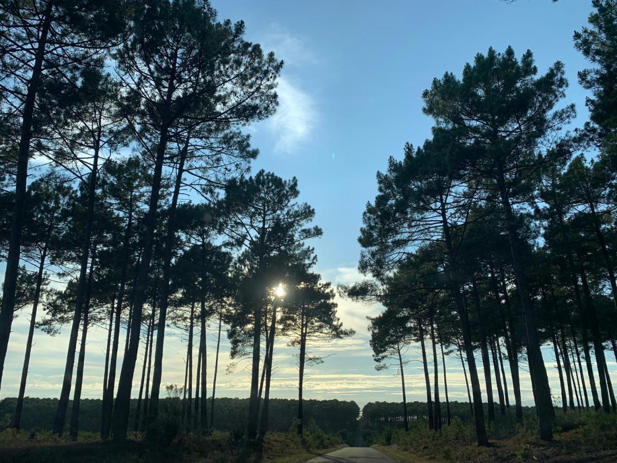 L Estanguet Maison Octogonale En Foret Rion-Des-Landes المظهر الخارجي الصورة